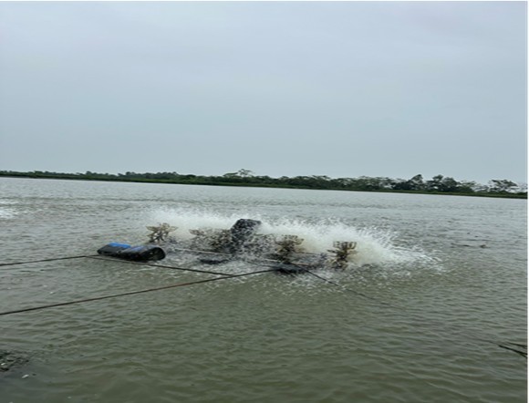 Chương trình xây dựng NTM đã góp phần làm tăng thu nhập của người dân.