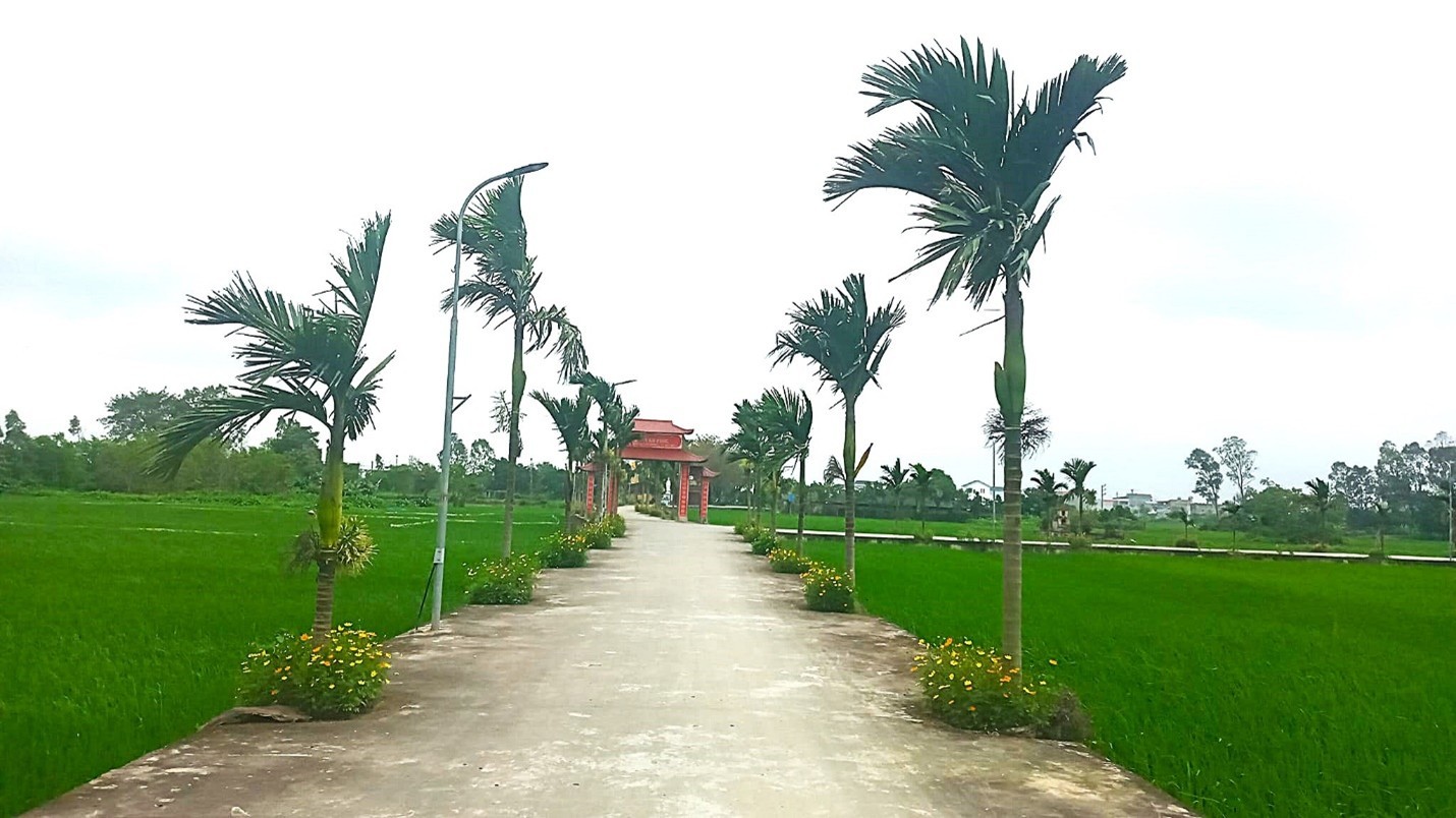 Hạ tầng nông thôn Ninh Bình ngày càng hiện đại, khang trang (Ảnh: Đinh Khương)