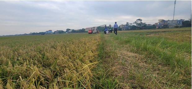 Xã Giao Bình – Điểm sáng trong phong trào xây dựng Nông thôn mới ở Ninh Bình