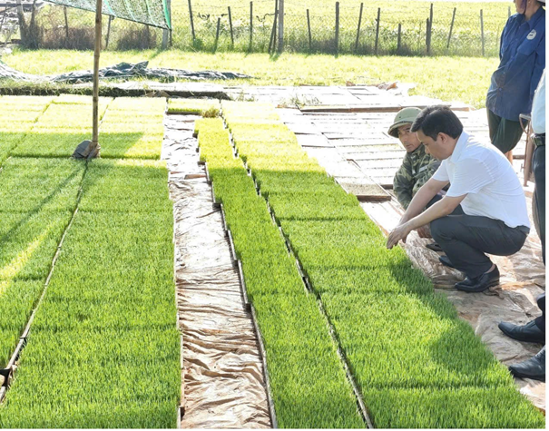 Xã Giao Bình – Điểm sáng trong phong trào xây dựng Nông thôn mới ở Ninh Bình