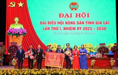 bi thu tinh uy gia lai thai dai ngoc nong dan la trung tam la chu the la dong luc cua qua trinh doi moi