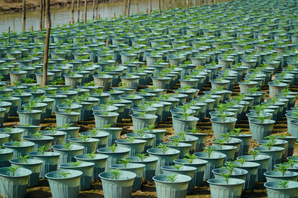 Nông dân tất bật sản xuất phục vụ mùa Tết