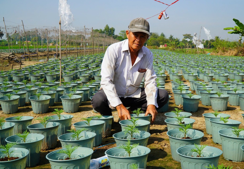 Nông dân tất bật sản xuất phục vụ mùa Tết