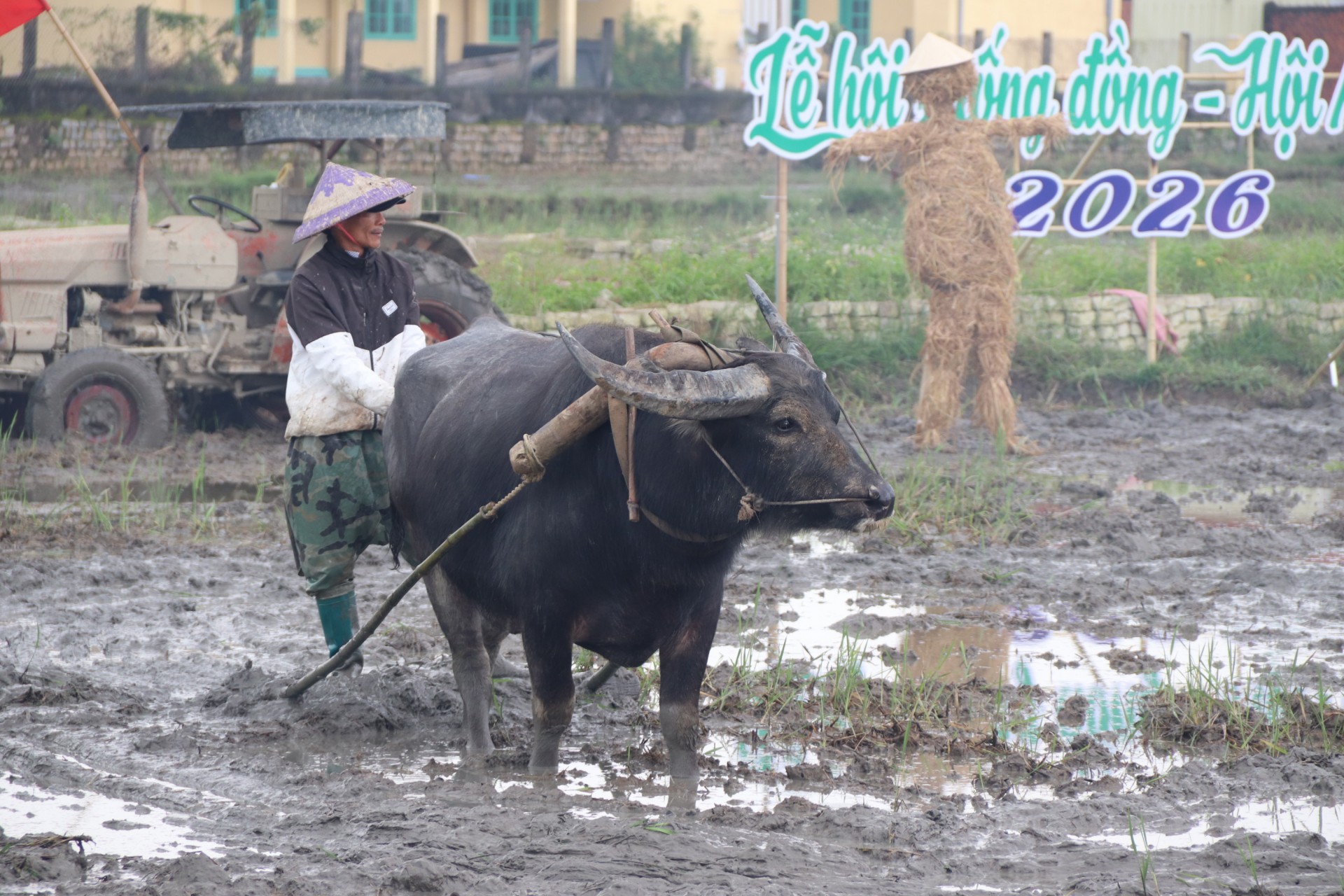 Hình ảnh nông dân cày ruộng ghi điểm với nhiều du khách quốc tế. Ảnh: Nguyễn Linh Hình ảnh nông dân cày ruộng ghi điểm với nhiều du khách quốc tế. Ảnh: Nguyễn Linh