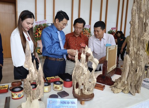 huong toi phat huy gia tri di san tram huong khanh hoa