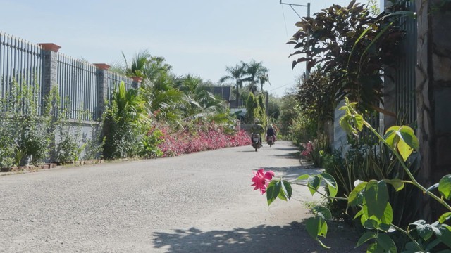  Những cung đường hoa kiểu mẫu trở thành điểm nhấn trong phong trào “Chung sức xây dựng nông thôn mới” tại địa phương