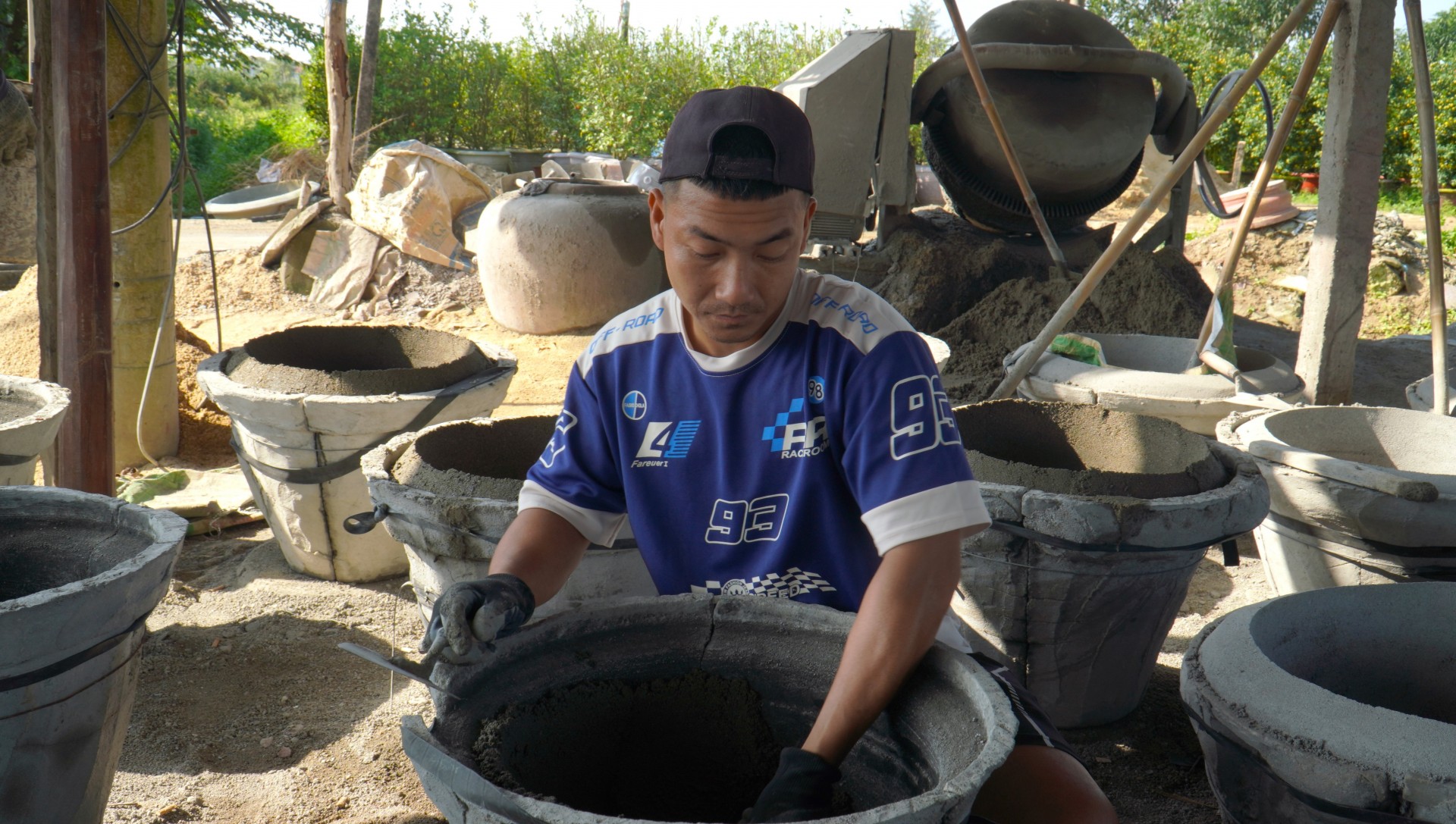 Làng quất Hội An Tây vào mùa thu hoạch Tết