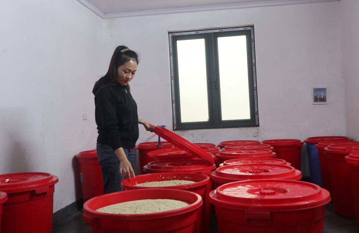 Rượu hồng nâng tầm nông sản quê hương Rượu hồng nâng tầm nông sản quê hương