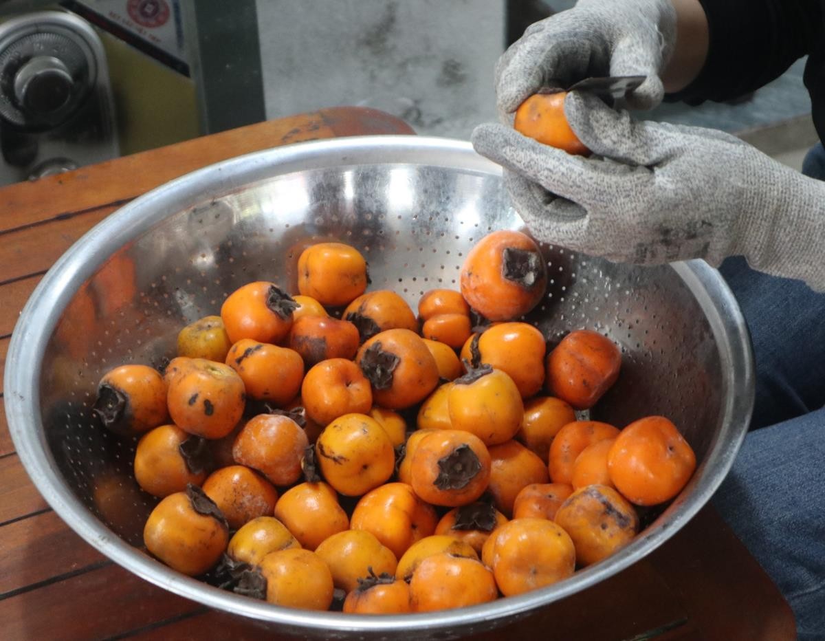 Rượu hồng nâng tầm nông sản quê hương Rượu hồng nâng tầm nông sản quê hương