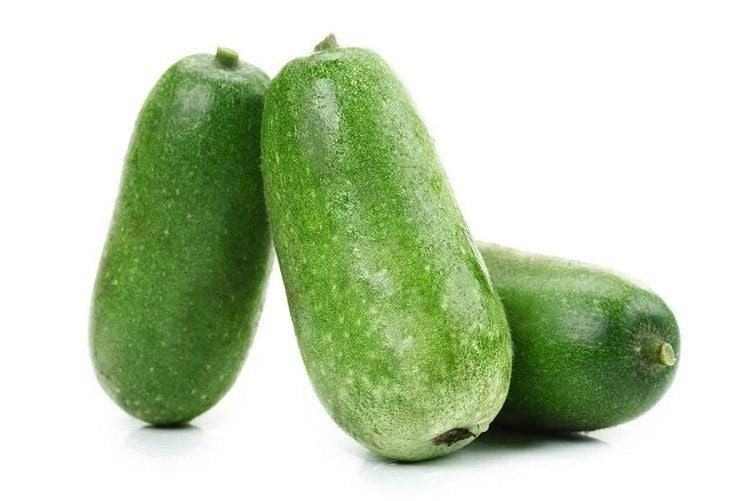 Trồng thử nghiệm bí xanh thơm mang lại hiệu quả kinh tế tại Bát Xát