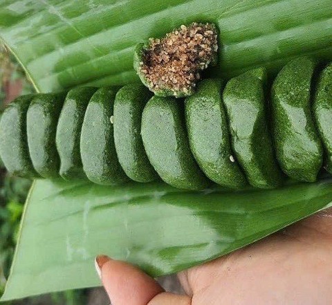 thuc qua que tinh tuy tu doi ban tay nguoi phu nu binh gia