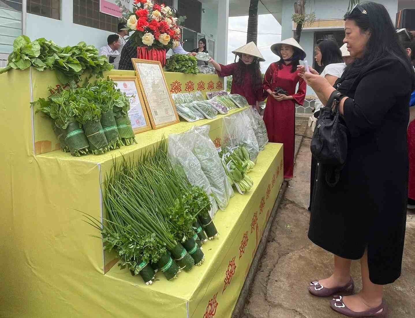 Gia Lai: Làng rau Thuận Nghĩa Tây Sơn - vùng đất hội tụ lợi thế tự nhiên và không gian văn hóa du lịch đặc sắc
