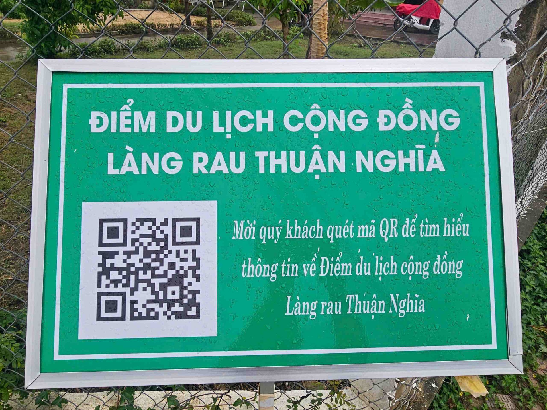 Gia Lai: Làng rau Thuận Nghĩa Tây Sơn - vùng đất hội tụ lợi thế tự nhiên và không gian văn hóa du lịch đặc sắc