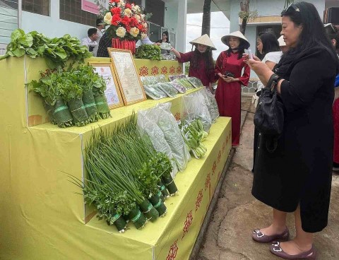 gia lai lang rau thuan nghia tay son vung dat hoi tu loi the tu nhien va khong gian van hoa du lich dac sac