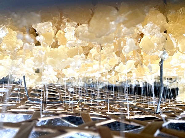 Đường ở dạng kết tinh trong suốt, tựa như những thỏi thạch anh. Ảnh NHƯ ĐỒNG