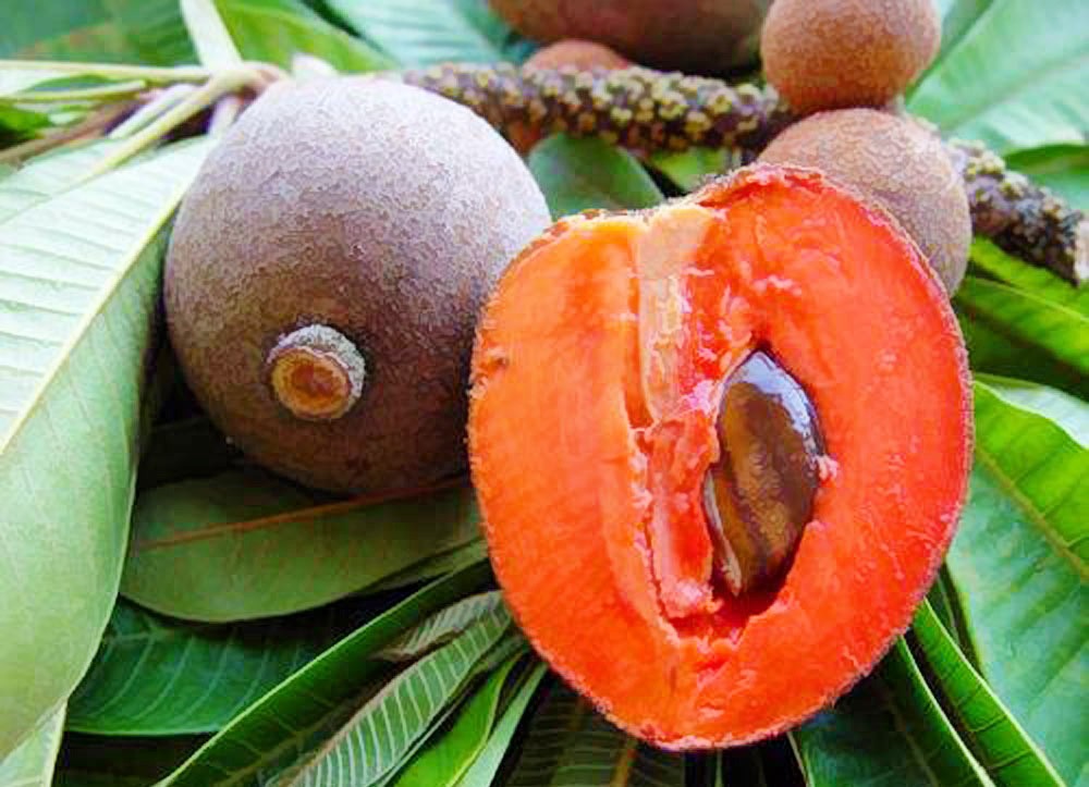 Phụ nữ tích cực khởi nghiệp sáng tạo và làm giàu từ nông nghiệp bền vững