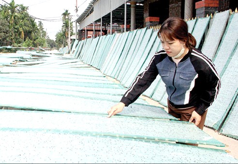 Cơ sở sản xuất bánh tráng Bảo Tiên, ở thôn Hiệp Phổ Trung, xã Nghĩa Hành nâng công suất chế biến, đảm bảo cung ứng cho thị trường. 