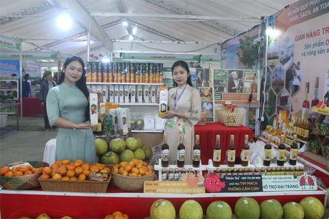 linh hoat trien khai xay dung nong thon moi qua cac chuong trinh chuyen de