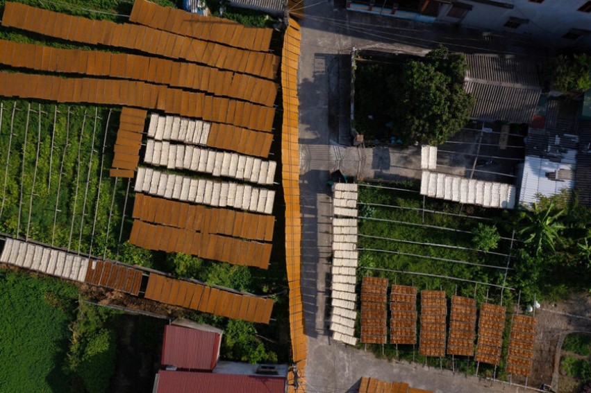 Những sân phơi, con đường phủ kín phên bánh đa – hình ảnh quen thuộc mỗi độ Tết về ở làng nghề Dụ Đại.