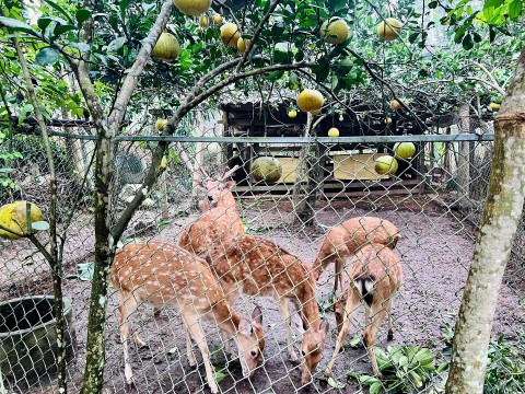 hoi nong dan ha tinh trien khai ho tro to hoi nghe nghiep
