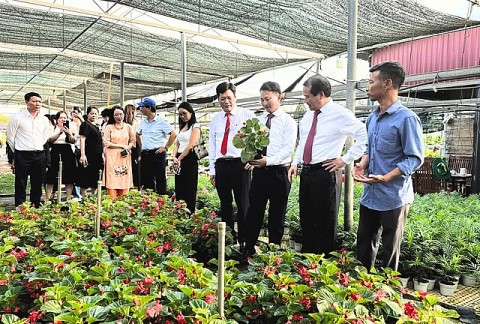 ha noi ra mat loat san pham du lich moi gan di san lang nghe va ocop