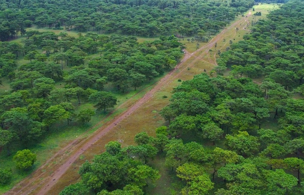 Gia Lai thực hiện dự án Sân golf Đak Đoa hơn 1.150 tỷ đồng