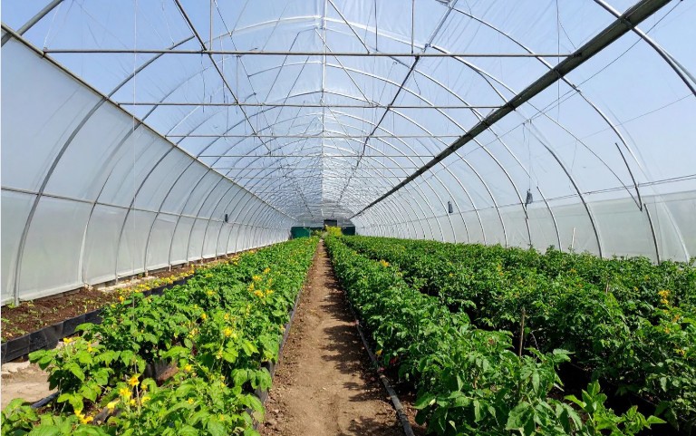 Nâng cao giá trị nông nghiệp Thái Nguyên