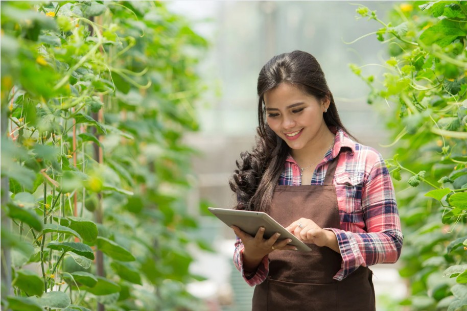 Tăng cường vận động nông dân sản xuất nông sản an toàn