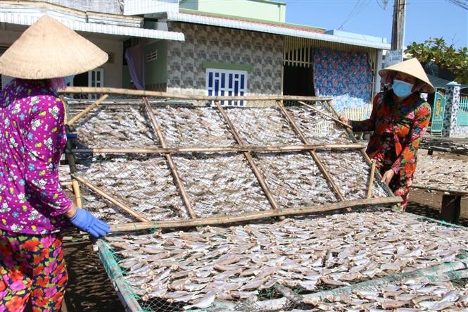Làng nghề cá khô Bình Thắng
