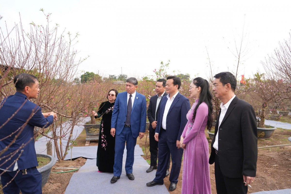 Khai mạc Lễ hội “Đào Nhật Tân – Sắc xuân Hồng Hà” năm 2026