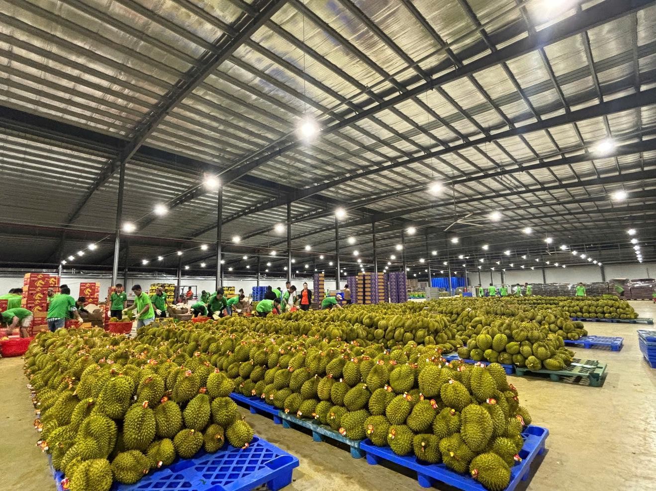 Khuyến công tiếp sức doanh nghiệp Đắk Lắk nâng chất sản phẩm