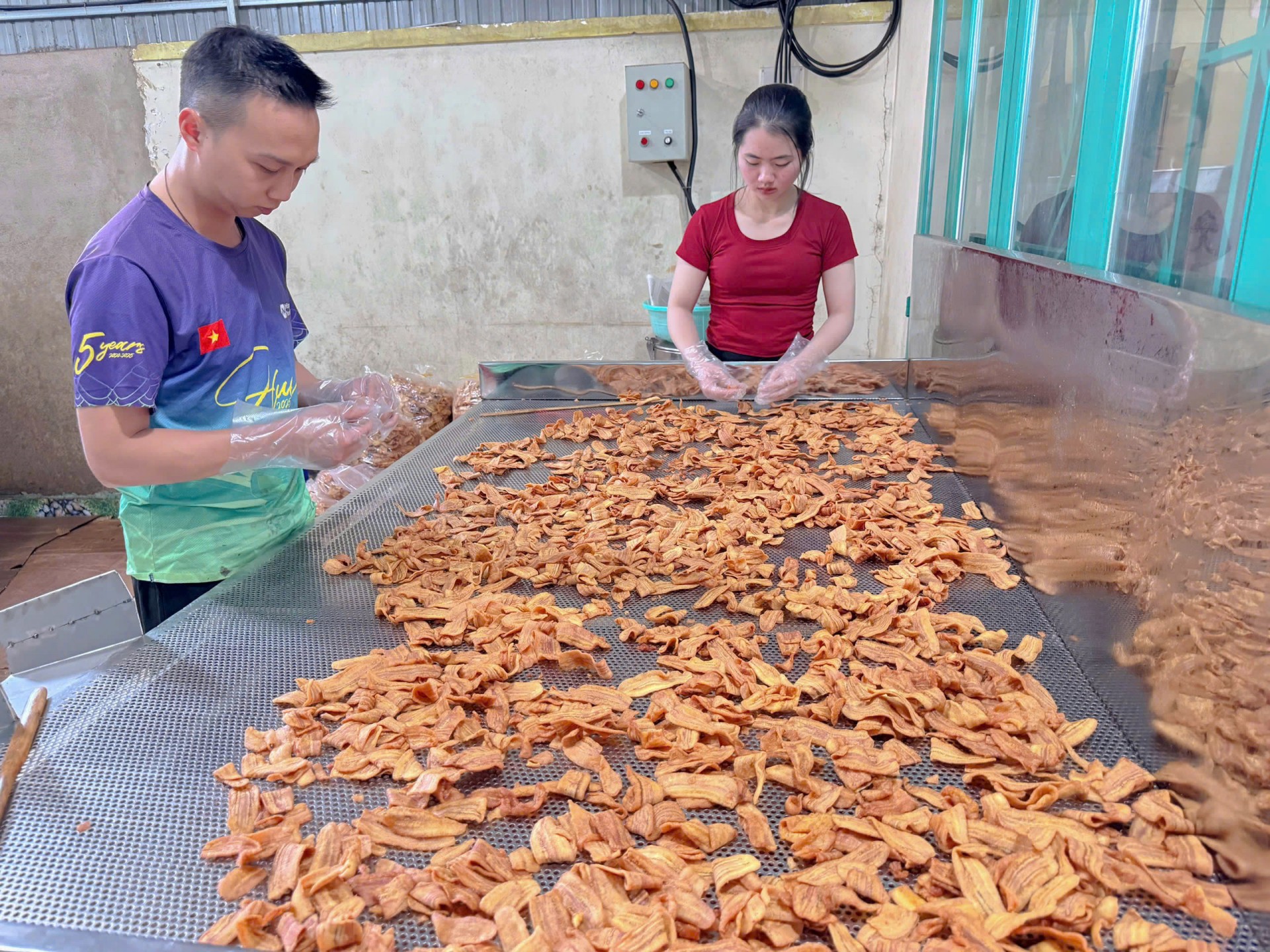 Chuối sấy A Lúa: Hành trình chạm sao OCOP
