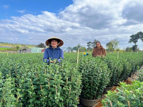 nong dan phuong an phu tat bat chuan bi nguon hang cho thi truong tet