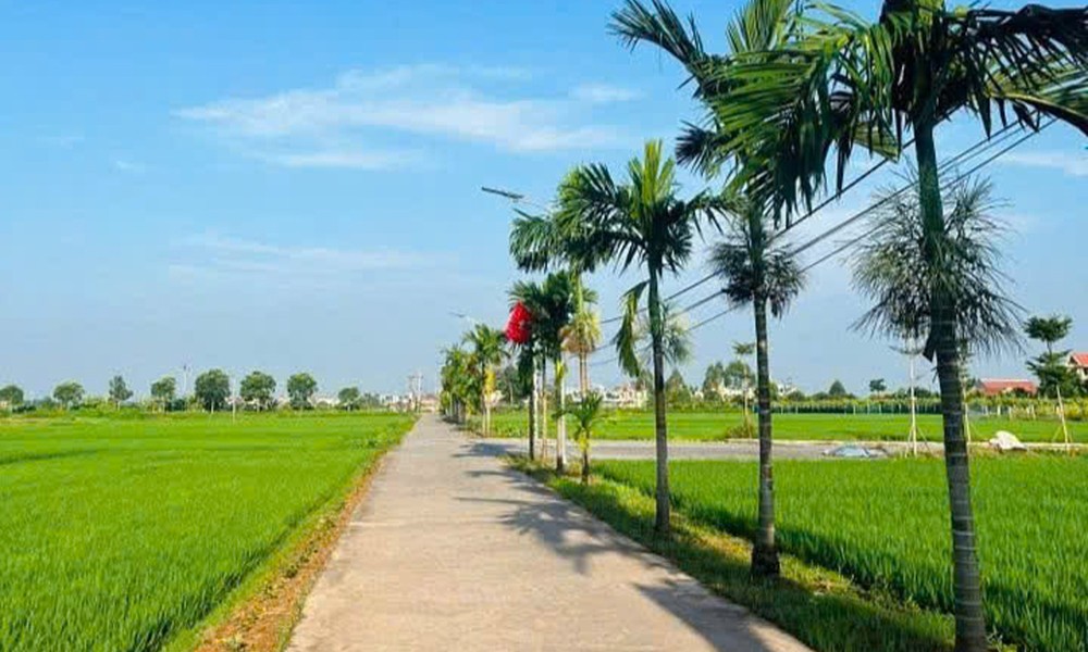 Đường làng thôn Liên Hòa, xã Lạng Giang phong quang, sạch đẹp.