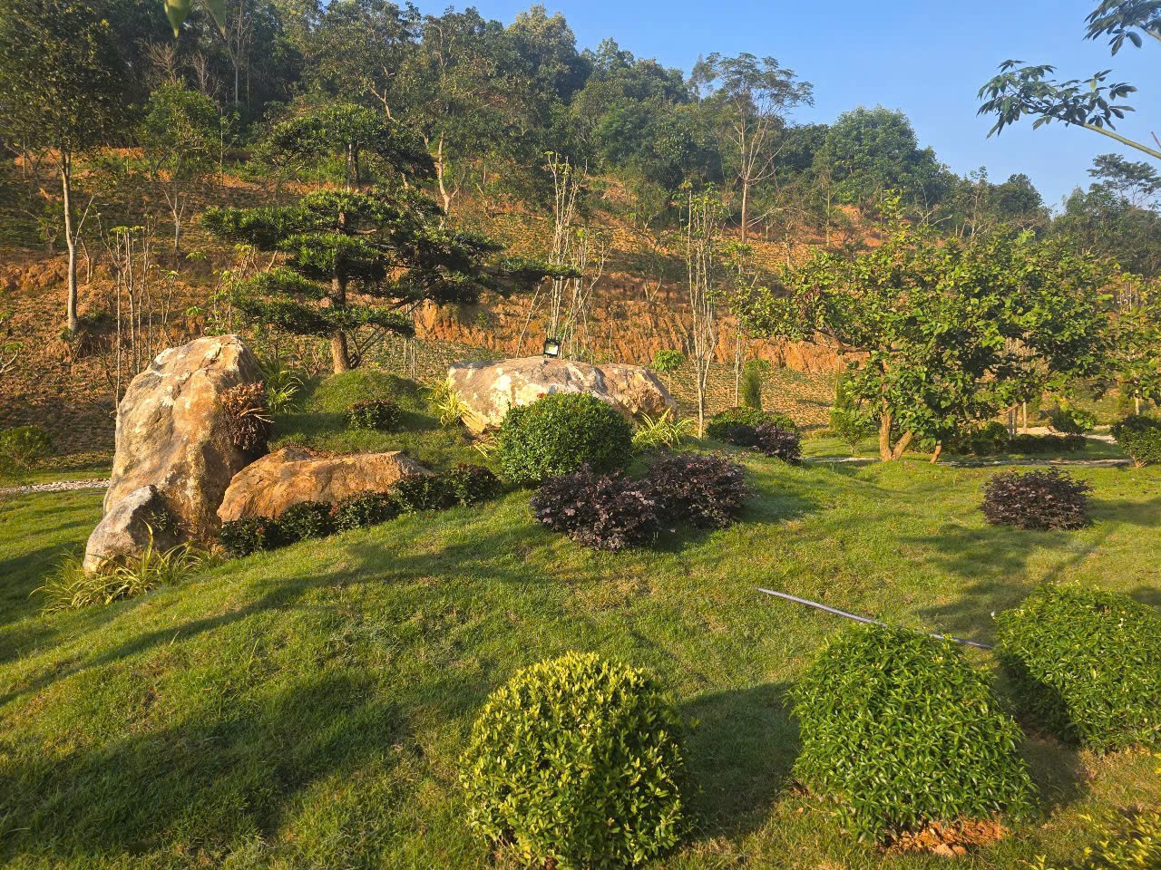 SƠN THỦY RESORT: GÓP PHẦN GÌN GIỮ MÀU XANH CHO QUÊ HƯƠNG SƠN THỦY RESORT: GÓP PHẦN GÌN GIỮ MÀU XANH CHO QUÊ HƯƠNG