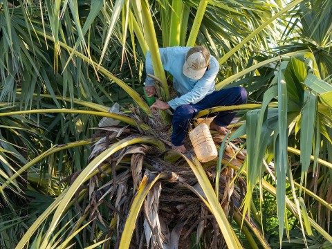 duong thot not bay nui va hanh trinh nang tam dac san khmer