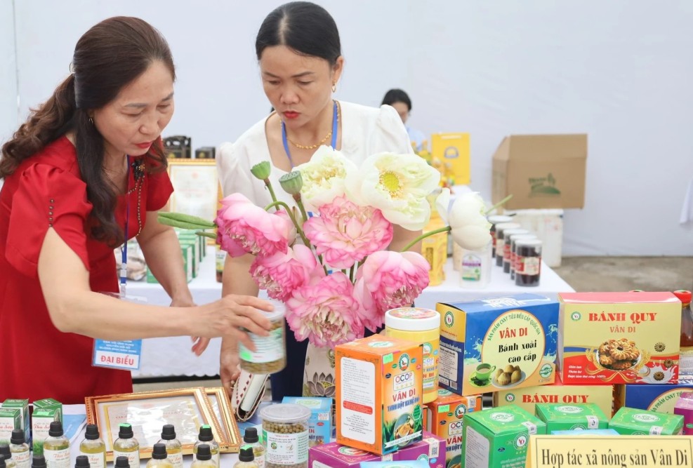 Quảng Trị có 403 sản phẩm OCOP được công nhận