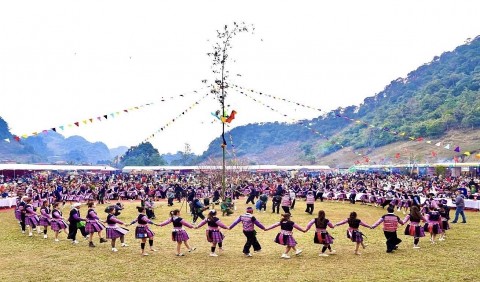 reo cao pa co diem hen hoi gau tao 2026 ruc ro ban sac