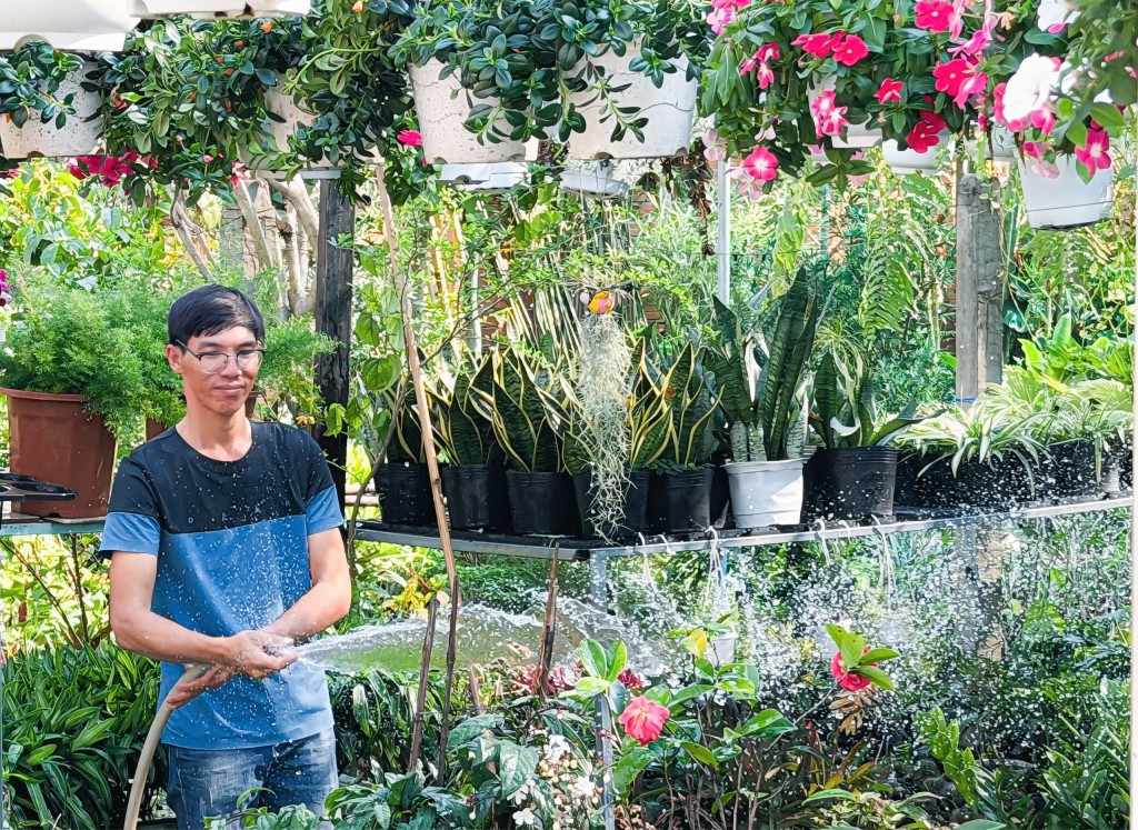 Nhà vườn kỳ vọng doanh thu cây cảnh Tết Bính Ngọ 2026 Nhà vườn kỳ vọng doanh thu cây cảnh Tết Bính Ngọ 2026