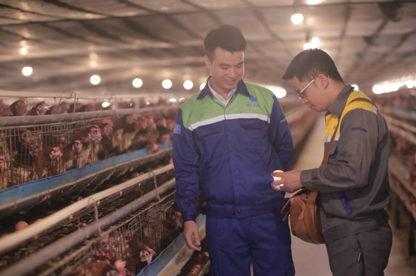 Trứng gà Phú Quý và hành trình đạt chuẩn OCOP 3 sao Trứng gà Phú Quý và hành trình đạt chuẩn OCOP 3 sao