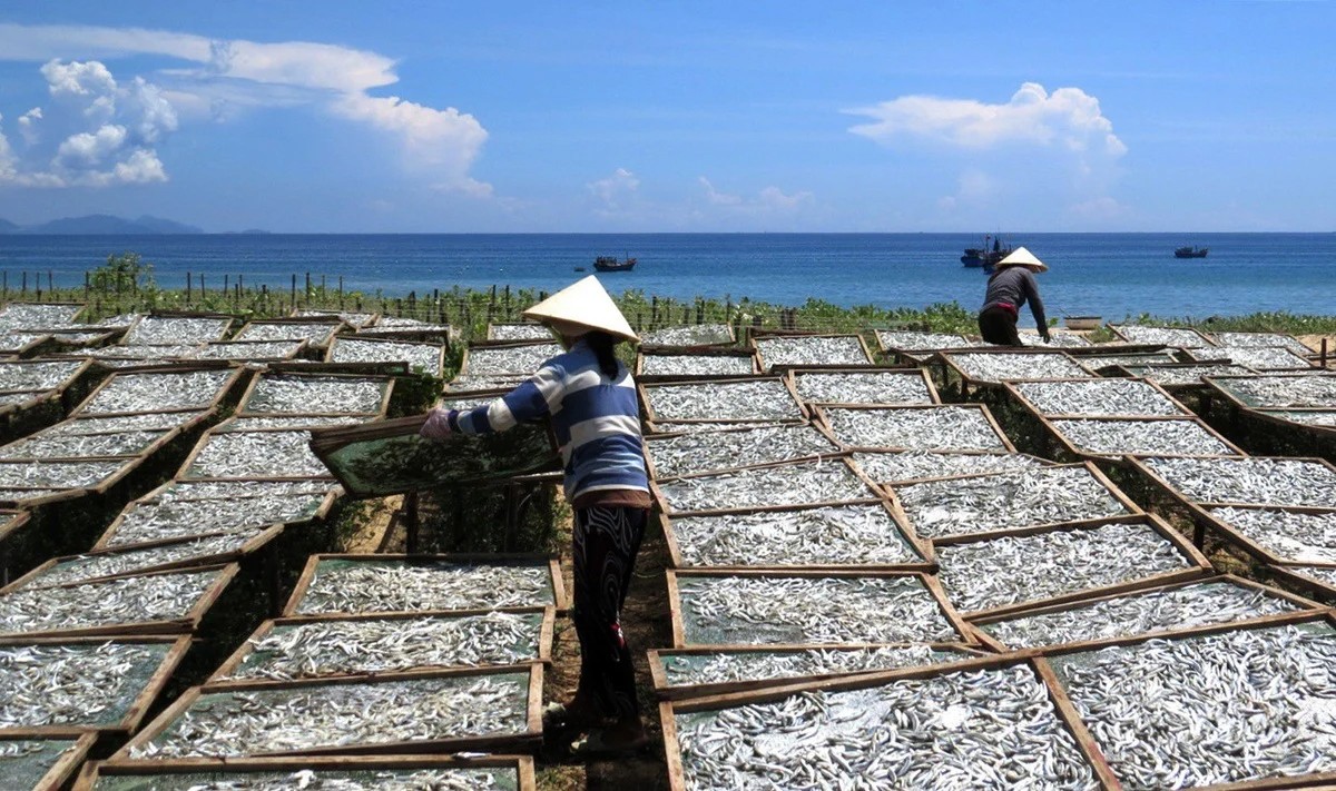 Làng nghề nước mắm Gành Đỏ