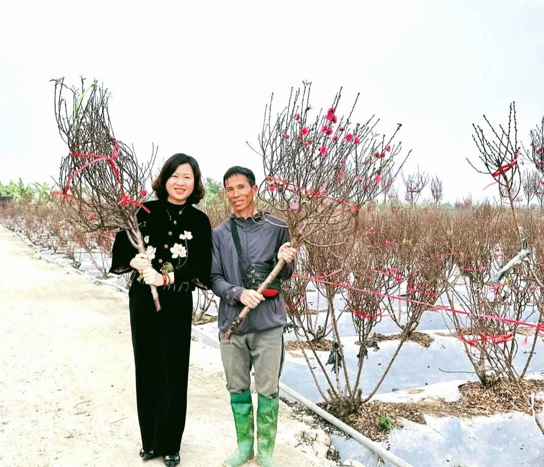 Người có công đưa cây đào Nhật Tân về xã Ô Diên, làm giàu đẹp cho quê hương