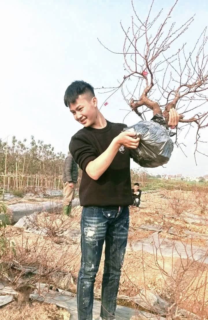 Người có công đưa cây đào Nhật Tân về xã Ô Diên, làm giàu đẹp cho quê hương