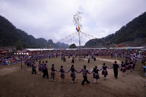 pa co ron rang hoi gau tao 2026