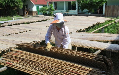 phat huy gia tri lang nghe tao dong luc phat trien kinh te nong thon ninh binh
