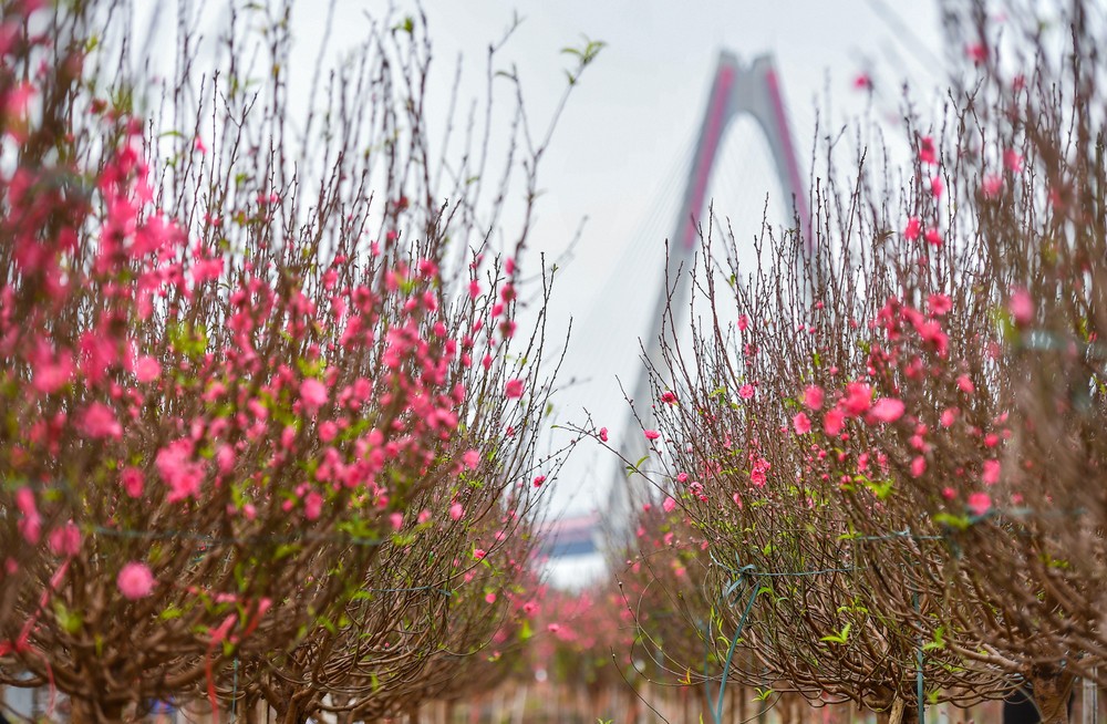 10 Làng nghề nổi tiếng miền Bắc rộn ràng sắc xuân