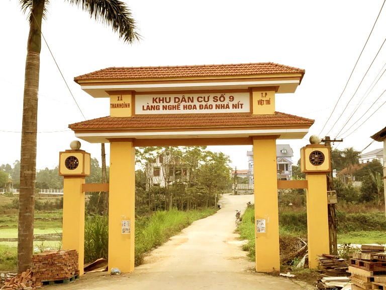 Làng nghề hoa đào Nhà Nít doanh thu hàng chục tỷ đồng dịp Tết