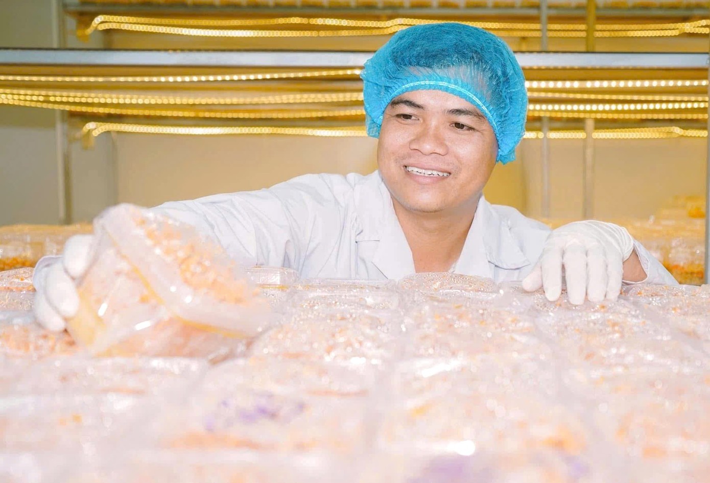 Từ giảng đường đến khát vọng thương hiệu Việt Từ giảng đường đến khát vọng thương hiệu Việt