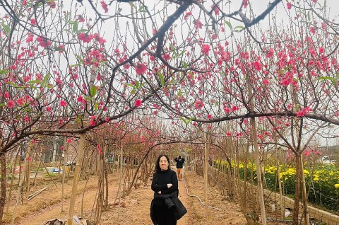 ben bi giu nghe trong dao nhat tan giua lan song do thi hoa