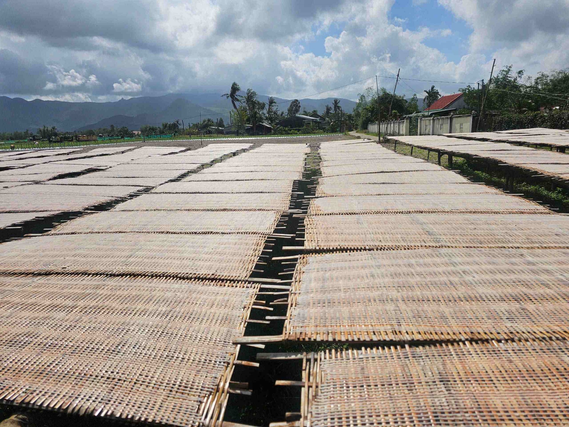 Gia Lai: Phù Mỹ Nam giữ gìn hồn quê với dải lụa trắng ngần từ sợi bún mì số 8